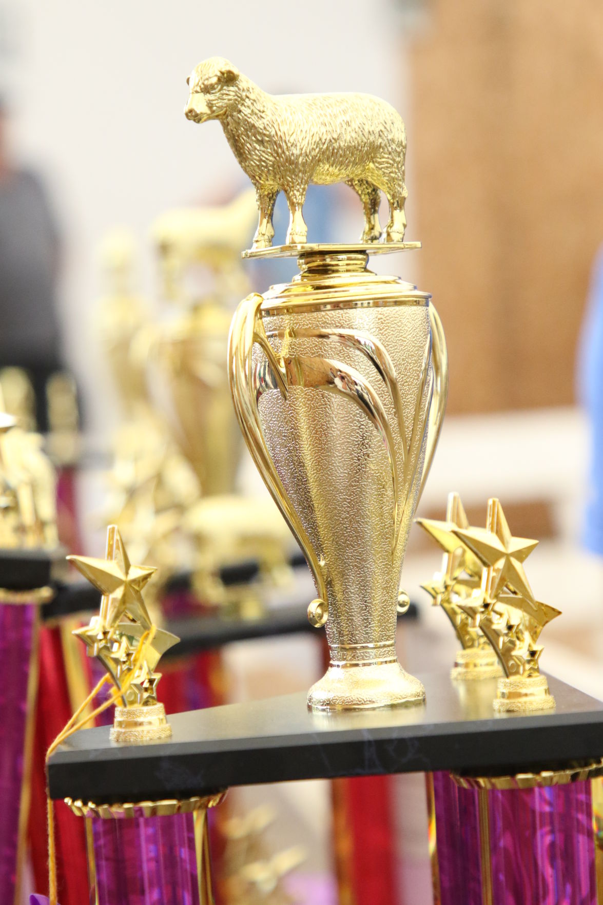 Trophy_5930.JPG